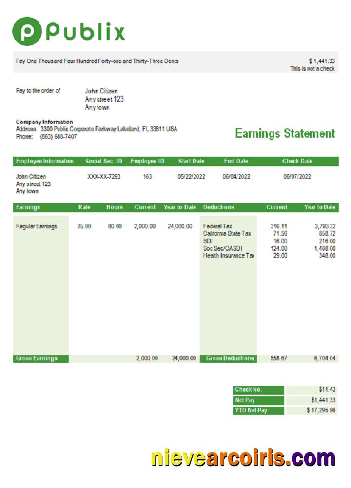 USA Publix Super Markets Inc. supermarket company pay stub